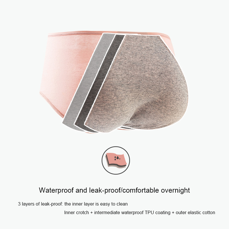 Bragas menstruales de algodón  - Seamless Underwear Women reseña y precio